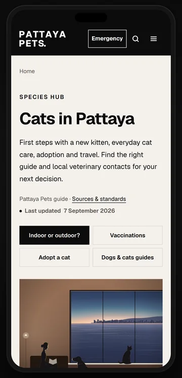 Cats in Pattaya on a phone: first steps with a cat, and an illustration of a quiet room at dusk, a cat at the window above the bay.