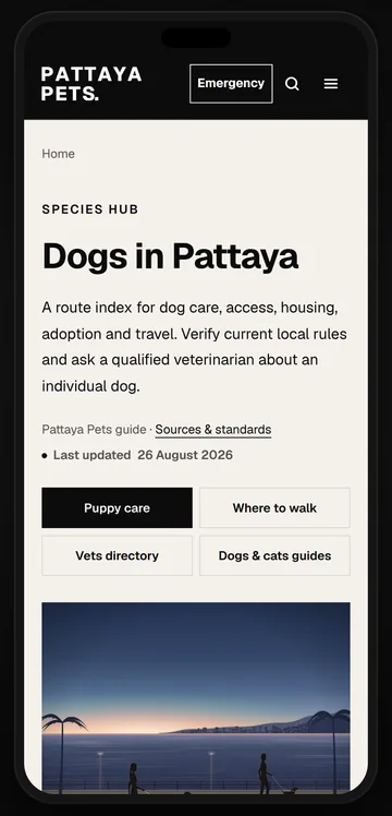 Dogs in Pattaya on a phone: puppy care and where to walk, and an illustration of people walking their dogs along the bay at dusk.